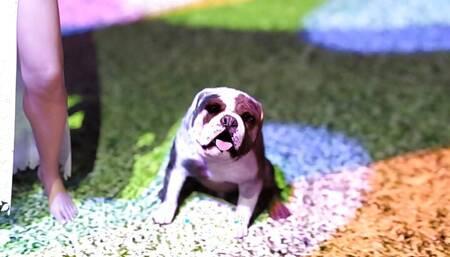 Rebels Of The College - Part 6 - Ultra Bikini Sexy Girls Party By LoveSkySan69