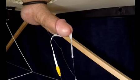 Total Electricity in the Boy's Dick Until He Cums Without His Hands