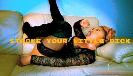 Stroke Your Tiny Penis