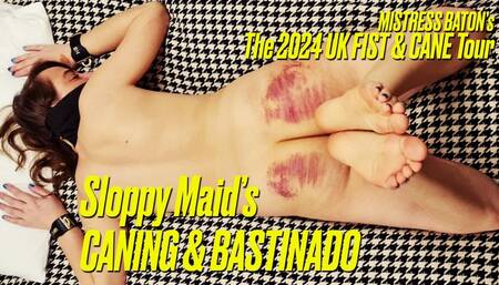 SLOPPY MAIDs Caning and Bastinado HD for QT