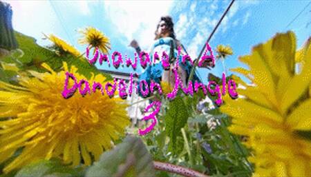 Unaware In A Dandelion Jungle EXTREME POV 3 - HD 1080p Version - Barefoot And Stepping On Dandelions While Unaware Of The Shrunken People Below