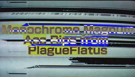 Monochrome Magnum Ass Rips