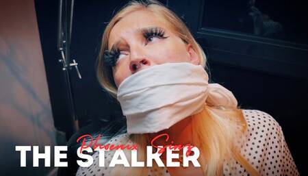 Phoenix Sinz | The Stalker