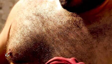 Scruffy Stocky in the Garden