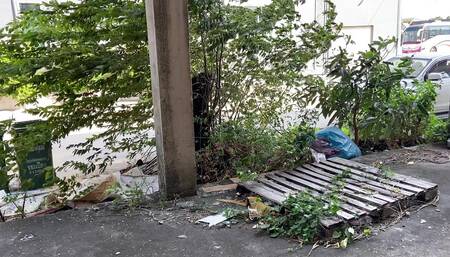 FN090 Beautiful teacher that every man wants