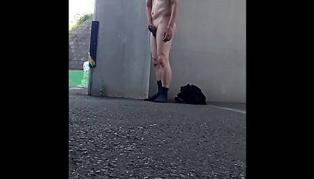 Full nudity and ejaculation under the public elevated highway