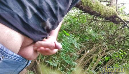 Quick handjob in a city park