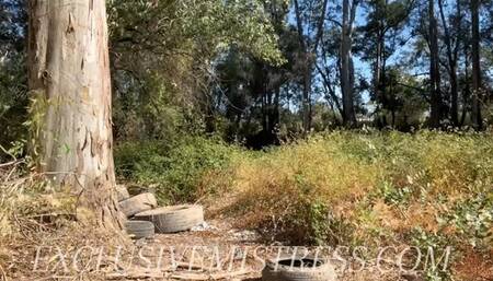 VS383 Stop to fuck you