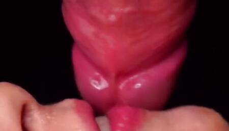 I suck his cock until he cumming in my mouth