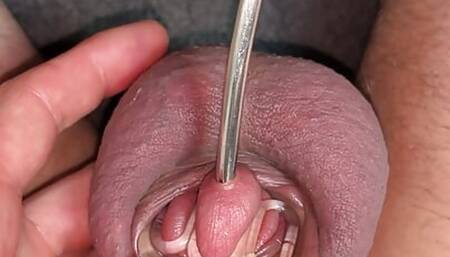 changing small chastity cage to flat chastity cage