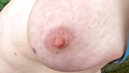 272 titslaps in open nature