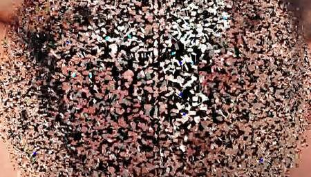 facesitting fetishmegastore