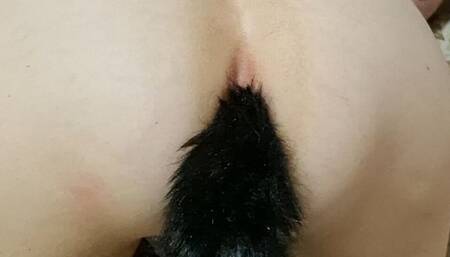 Do You Want to Fuck Me with the Ponytail in the Ass?