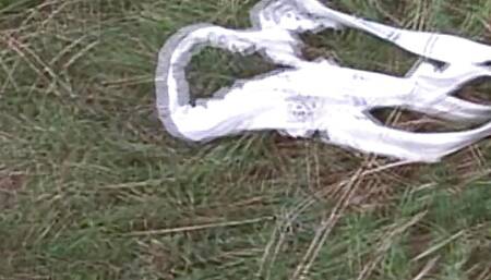 German slut goes wild with a big dick