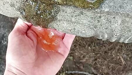 Picnic Pee