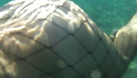 fishnet stocking in public sea and beach