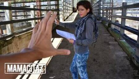 Hot POV Blowjob And Hard Sex For Sexy Latina Laura Toro