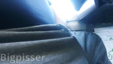 Flashing Smelly Smegma Cock on Train