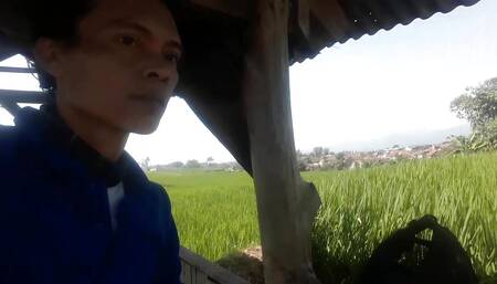 In the rice field, pee, it looks like a dick, fortunately no one sees it