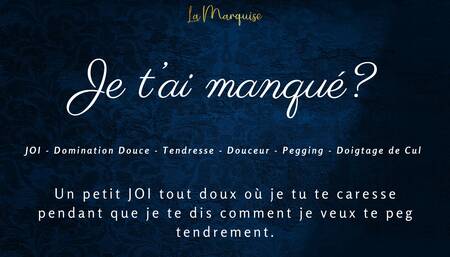 French Audio Porn   Little JOI where I want to peg you