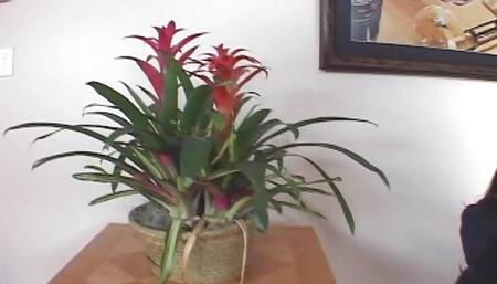 Top-class pornstar MILF enjoys dick in ass after a poker party