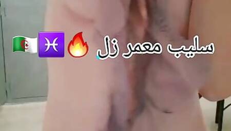Slype Fiyah T3 9A7ba Tribal Habba Tank