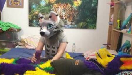 got yiffed by a nice pony pussy