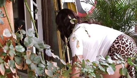 Roxi, Goddess of Gazongas