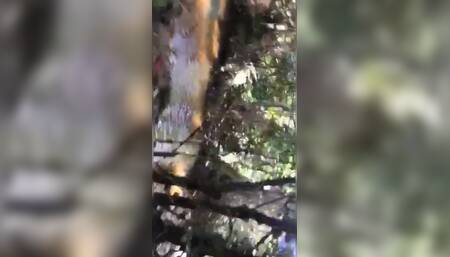 Indian Cheating Bhabhi Cheating Sex Outdoor Jungle