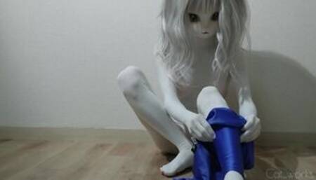 cat_works