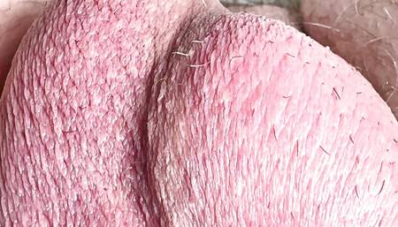 Very accurate details of the cock and testicles in the best quality