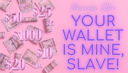 Your Wallet is Mine, Slave!