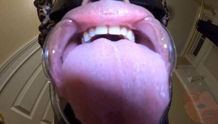 Giant Boy Mouth Tour