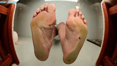 Bully GEM grew and now has tiny people underfoot!! - MP4