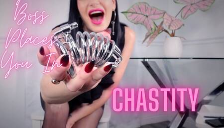 Your Boss Places You In Chastity HD 720p MP4