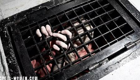 Bitch Bride 13 - punished in her oubliette *MOV*