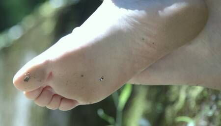 Giantess Reading Outside Unaware