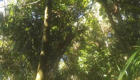 New video 2024-07-20 14:16:41