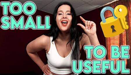 Use Your Ass Chastity Slave