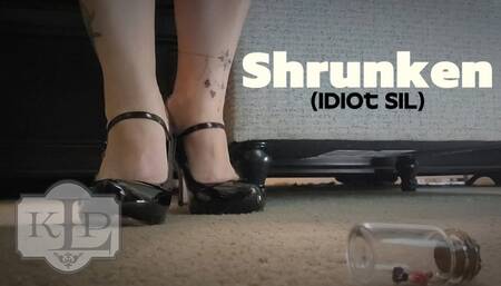 Shrunken: Idiot SiL