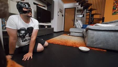 Pet play dog