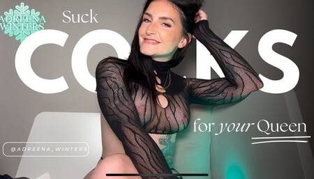 Suck Cocks For Your Queen!