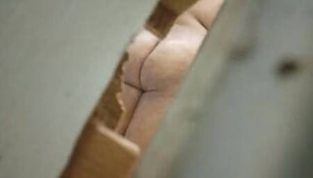 I spy my aunt in the bathroom of my grandmother's house. That's just why I'm going to see my horny, big-ass aunt