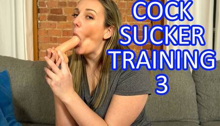 Cock Sucker Training 3 Dildo Sucking JOI