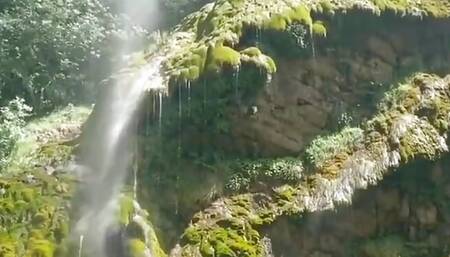 Waterfall Blowjob in a Paradisiac Place...