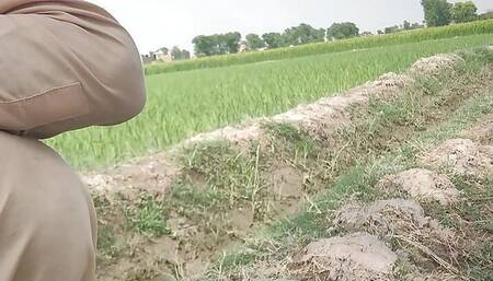 Beautiful Sex Story in Hindi Language That Will Make You Happy - Sex Story Of a Doctor