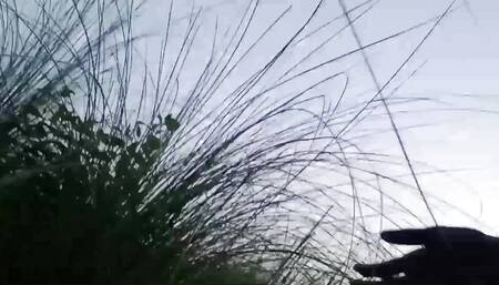 I Went Out to Do Mangal in the Jungle in the Morning // Watch Full Video, You Will Enjoy