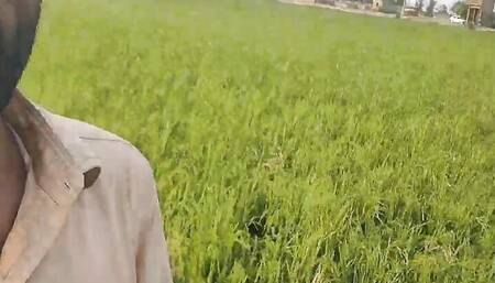 Adult Hindi Sex Story - Hindi Sex Story - Hindi Sexy Story