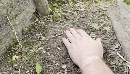 Lillly and Aurora Walk on guys hand with new rock boots