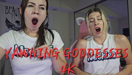 YAWNING GODDESSES! 4K